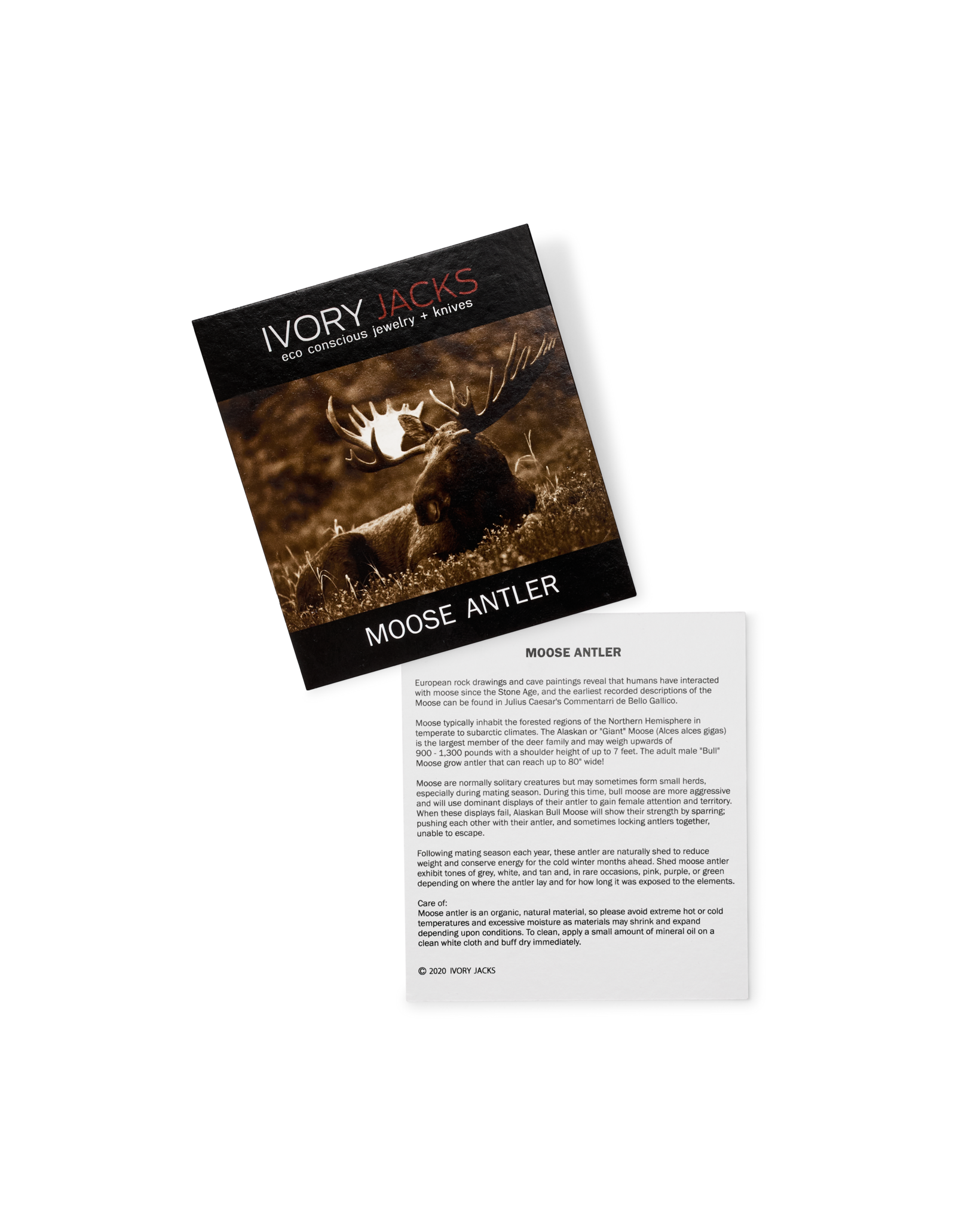 Ivory Jacks Moose Antler Bangle - Brown - Image 5